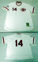 1976 Cincinnati Reds Home Jersey...Modern Era From Mitchell & Ness, With #8 On Jersey (Joe Morgan)