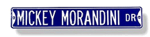 Steel Street Sign:  'Mickey Morandini Dr.'(custom made to order)
